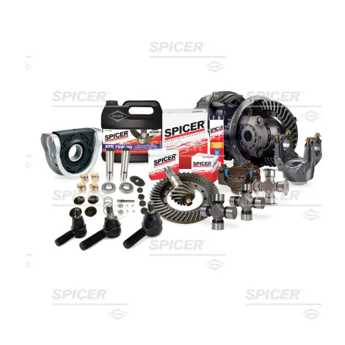 Dana Spicer 324269
