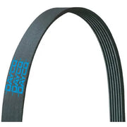 Dayco 4PK888EE