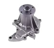 DP1461 Water Pump