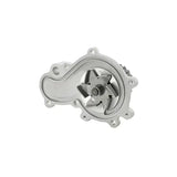 DP241 Water Pump