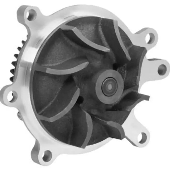 Dayco DP807BH Water Pump