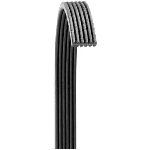Dayco 6080719 Heavy duty diesel-grade construction - Gold Poly Rib Label Blt