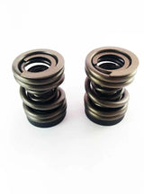 DDP Dodge 94-98 P-Pump 3000 & 4000 RPM Governor Spring Kit 