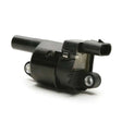 GN10165 Ignition Coil