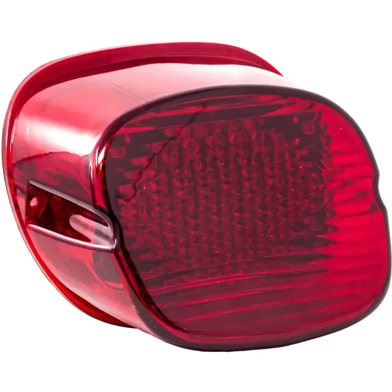 LETRIC LIGHTING CO LLC-DS-R