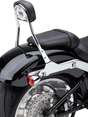 Detachable Backrest Round Chrome Flfb/S Fxbr/S 18 22 - COBRA