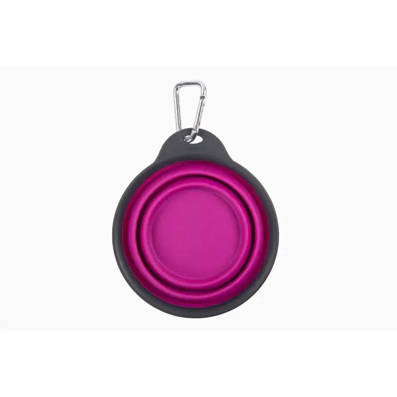 PW2004322405 Pet Dish