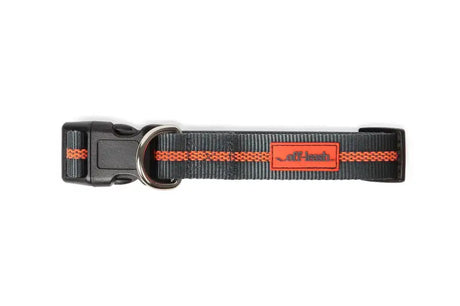 PWC020-432-2027 Pet Collar