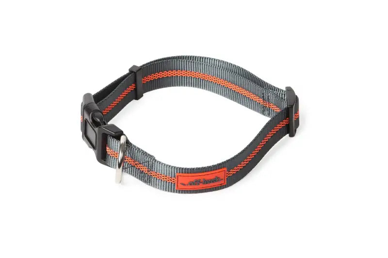 PWC030-432-2027 Pet Collar