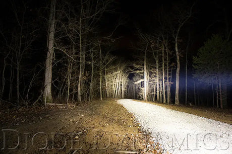 Diode Dynamics 12 In LED Light Bar Single Row Straight Clear Wide Each Stage Series - DD5023S