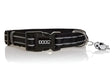 COLBFL-M Pet Collar