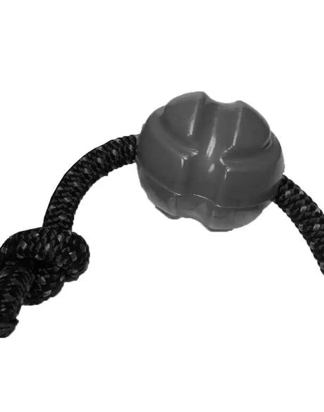 FBR03 Pet Toy