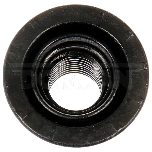 Dorman Limited Lifetime Warranty Lug Nut 611-172.1 - Wheel