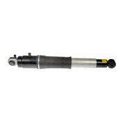 Dorman Limited Lifetime Warranty Shock Absorber 949-036 - Air