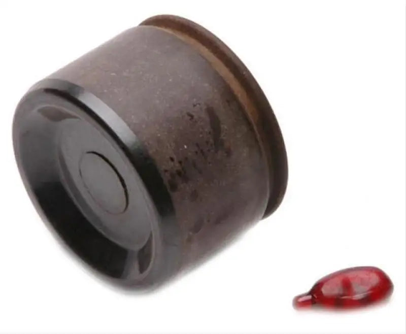 Dark brown cylindrical container with red capsule for DP85028 Raybestos Hardware Hydraulics
