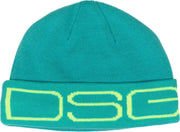 Dsg 527045 Logo Beanie Mint - Headgear