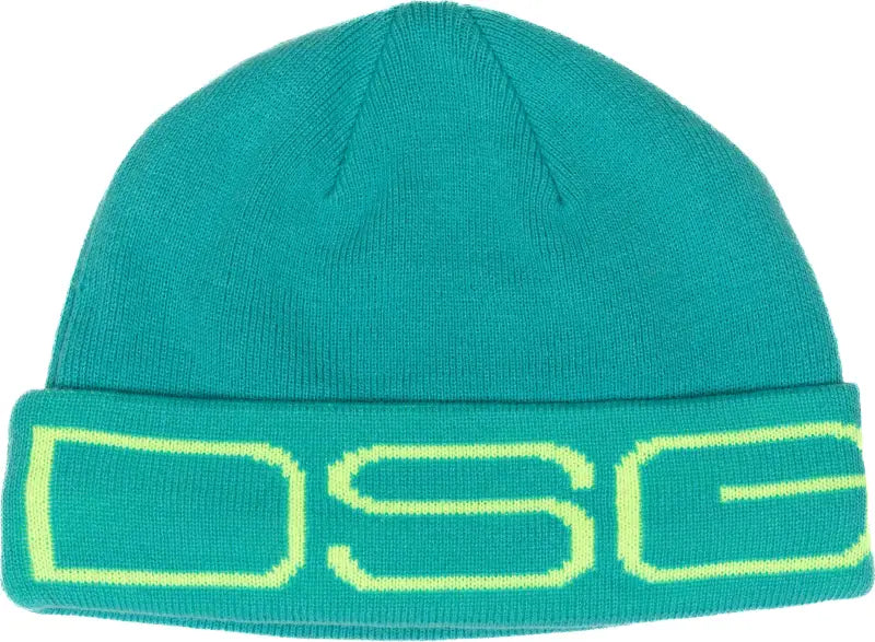 Dsg 527045 Logo Beanie Mint - Headgear