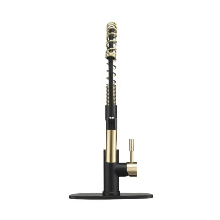 Dura Faucet Used For RV Kitchen DF-MK504SLK-MBMG - Coil Pull-Down Mbm