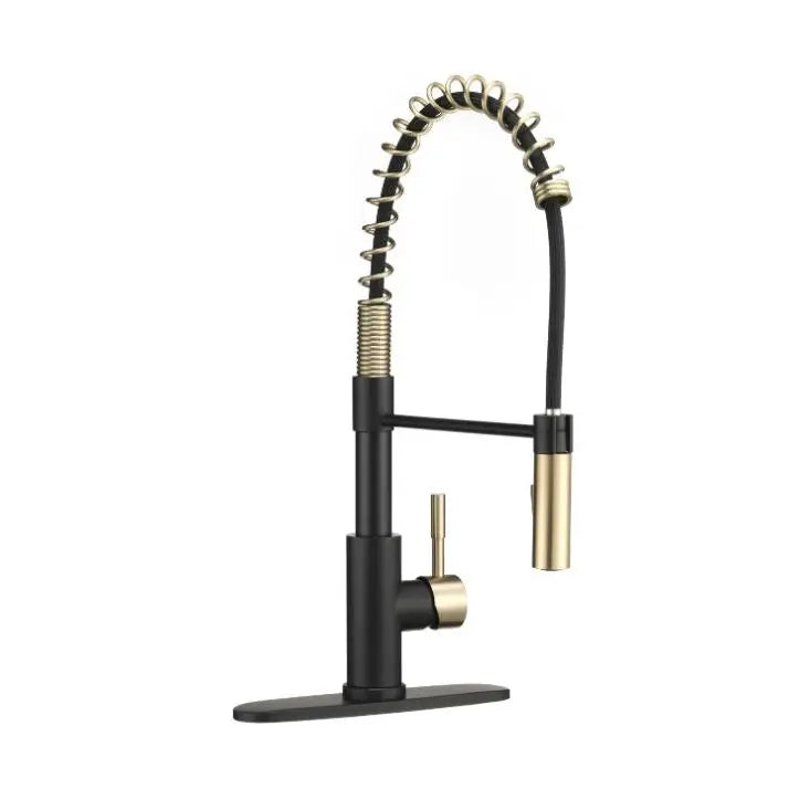 Dura Faucet Used For RV Kitchen DF-MK504SLK-MBMG - Coil Pull-Down Mbm