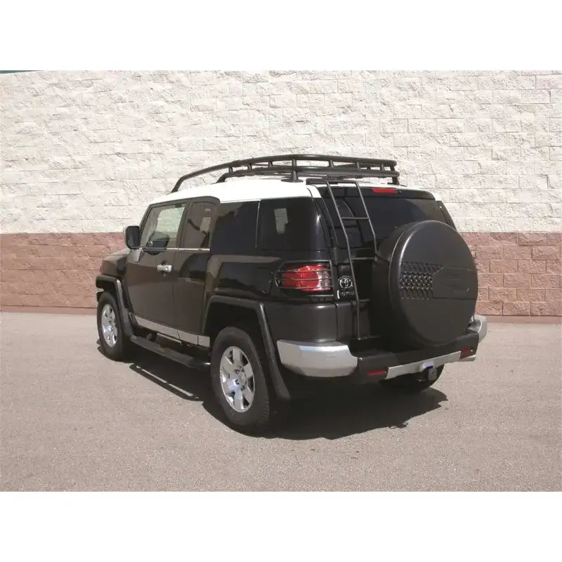 DZ760611 Rear Door Ladder