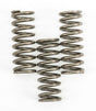 Clutch Springs Csk239