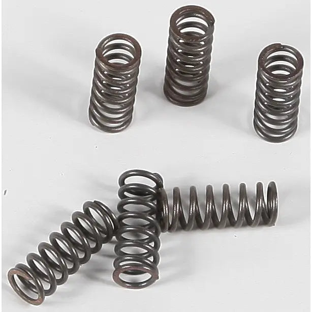 EBC Redline Clutch Springs CSK39