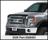 EGR 309401