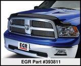 EGR 393811
