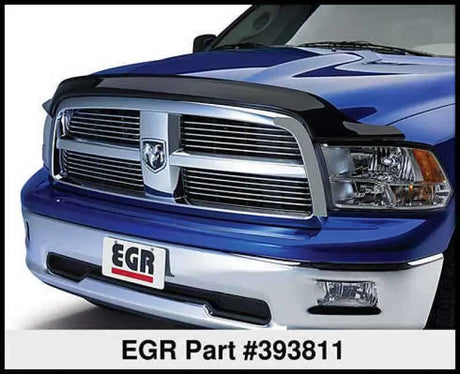 EGR 393811
