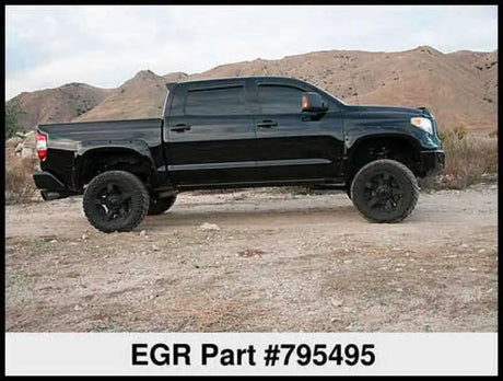 EGR 795495
