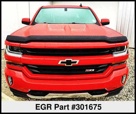 EGR 301675