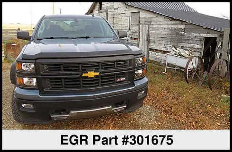 EGR 301675