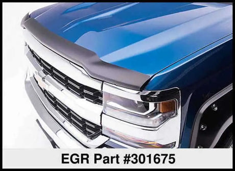 EGR 301675