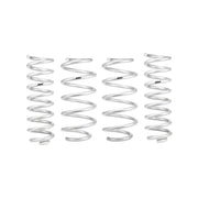 Eibach Pro-Lift Kit for 19-23 Kia Telluride 3.8L V6 AWD - Truck & Automotive