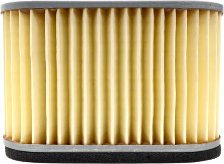 EMGO Air Filter for Powersports