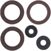 Engine Oil Seal Kit Can - VERTEX