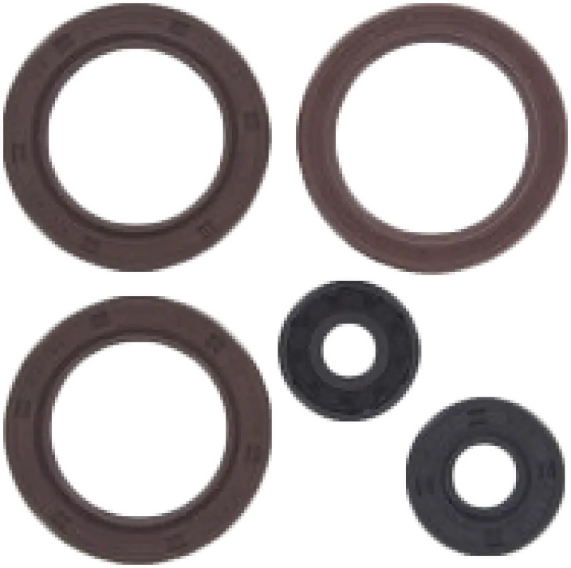 Engine Oil Seal Kit Can - VERTEX