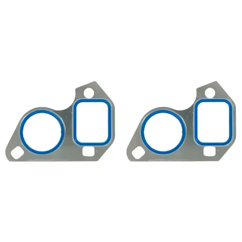 ES 73010 Water Pump Gasket