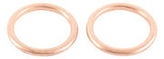 VERTEX Exhaust Gasket Kit