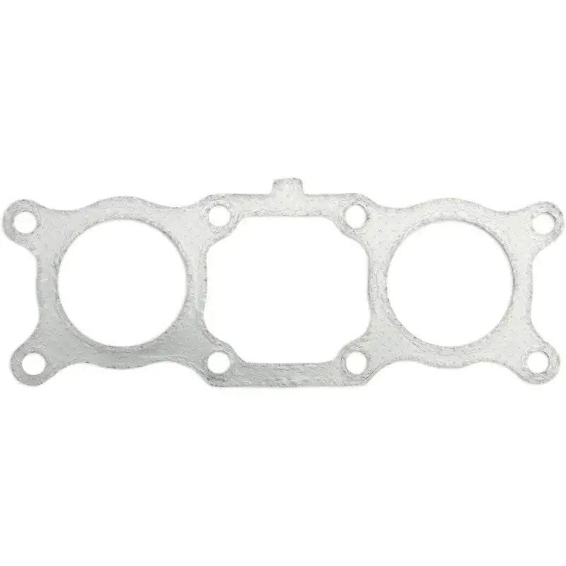 SP1 Exhaust Gasket Pol for Powersports