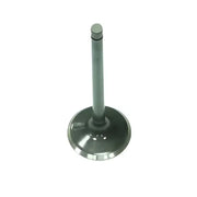 BRONCO Exhaust Valve for Powersports