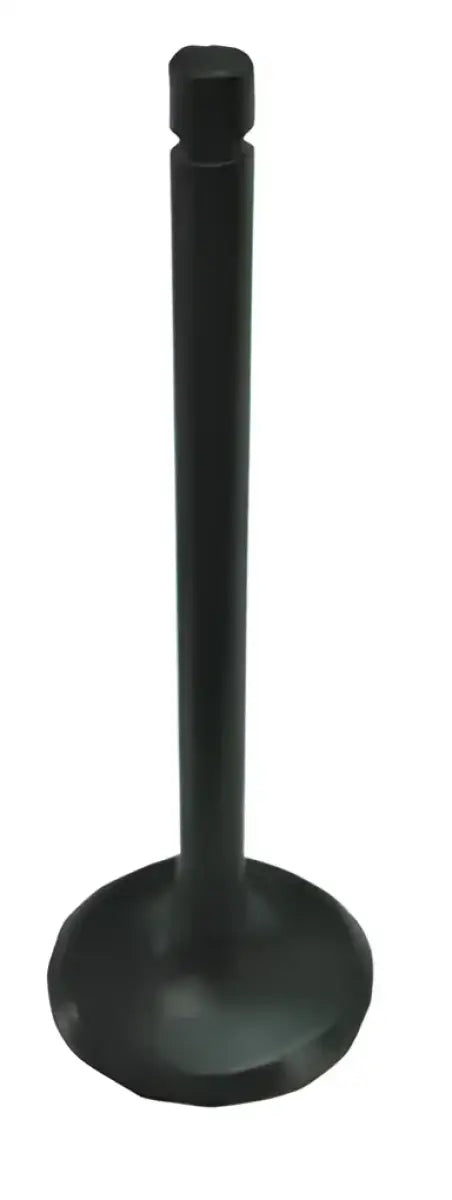 BRONCO Exhaust Valve for Powersports