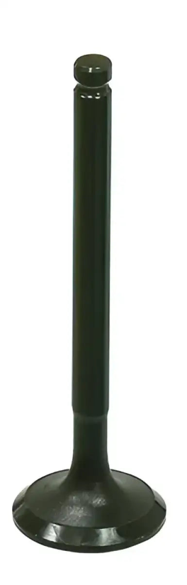 BRONCO Exhaust Valve for Powersports