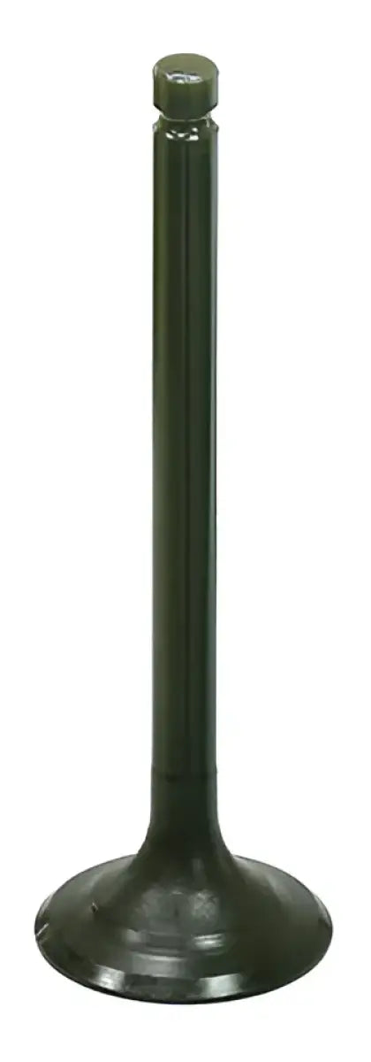 BRONCO Exhaust Valve for Powersports