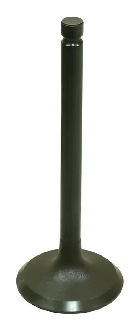 BRONCO Exhaust Valve for Powersports