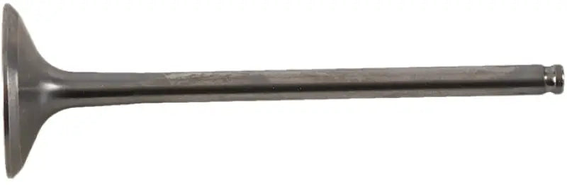 HOT CAMS Exhaust Valve Titanium for Powersports