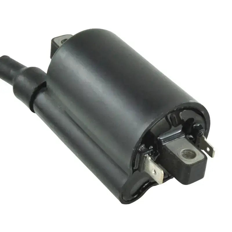 External Ignition Coil - RM STATOR