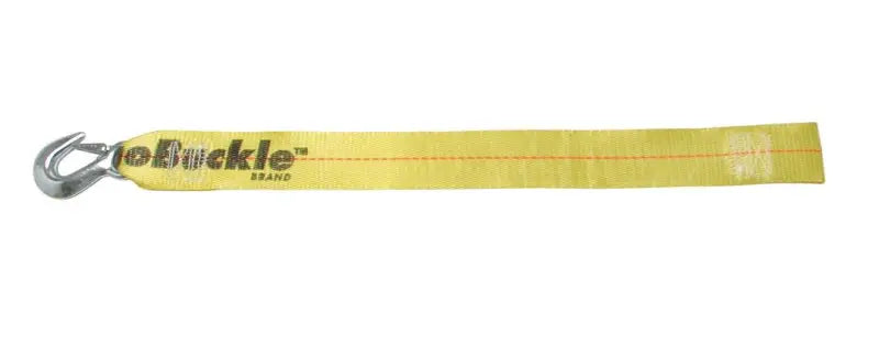 F14211 Immi Winch Strap With Loop End 2’ X 25’ - Trailer Boat