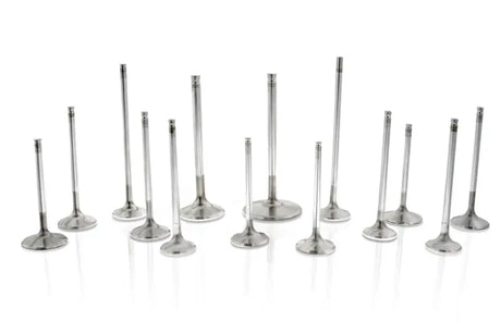 Ferrea 5/16 / 8mm.500in ID Viton Hi-Temp Exhaust/Intake Valve Stem Seal - Set of 16 - Truck & Automotive