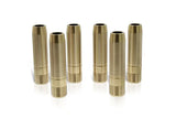 Ferrea Chevy LS1/LS7 5/16.502 OD 2.000 Length.500 ID Exh/Int Valve Guide - Set of 8 (Req VS1021) - Truck & Automotive